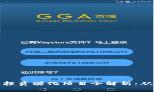 タイトル: 区块链投资孵化项目全解析:从初创到成功的秘诀
