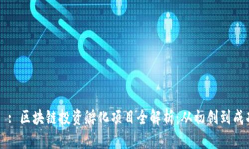 タイトル: 区块链投资孵化项目全解析:从初创到成功的秘诀