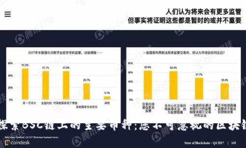 深入探索BSC链上的主要币种:您不可忽视的区块链资产