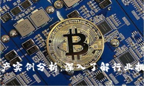 区块链破产实例分析:深入了解行业挑战与教训