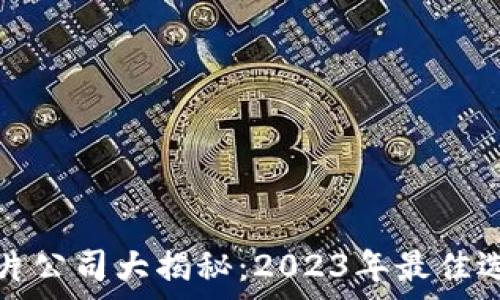 区块链加密芯片公司大揭秘:2023年最佳选择与发展前景