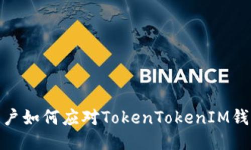 : 国内用户如何应对TokenTokenIM钱包的限制
