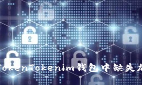 如何解决TokenTokenim钱包中缺失加号的问题