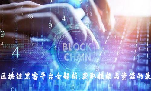 : 中国区块链黑客平台全解析:获取技能与资源的最佳途径