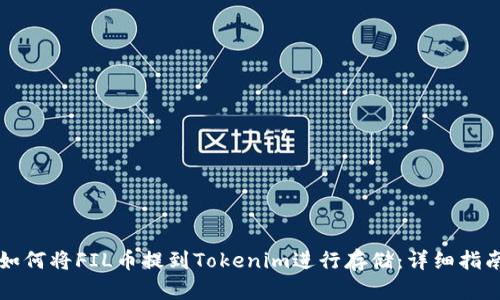 如何将FIL币提到Tokenim进行存储:详细指南