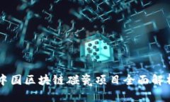 中国区块链碰瓷项目全面