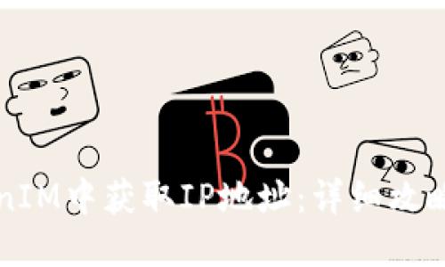 如何在TokenIM中获取IP地址:详细攻略与最佳实践