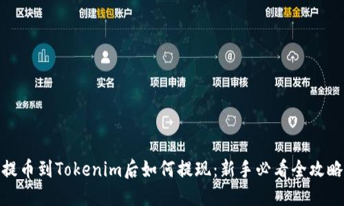 提币到Tokenim后如何提现:新手必看全攻略