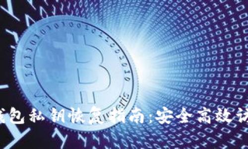 Tokentokenim钱包私钥恢复指南:安全高效访问你的数字资产