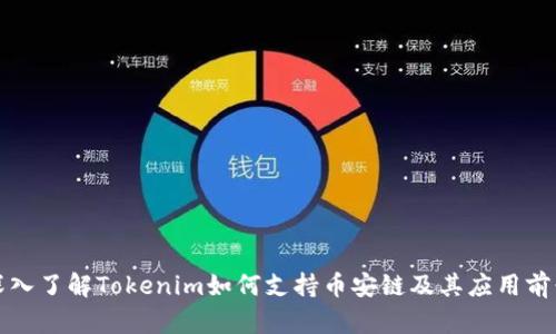 深入了解Tokenim如何支持币安链及其应用前景