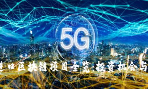 2023年日本进口区块链项目全览:投资机会与市场前景分析