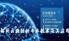 深度解析区块链的专业技