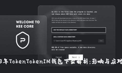 2023年TokenTokenIM钱包下架解析：影响与应对策略
