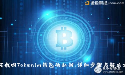 如何找回Tokenim钱包的私钥:详细步骤与解决方案