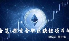 合肥区块链企业全览：探