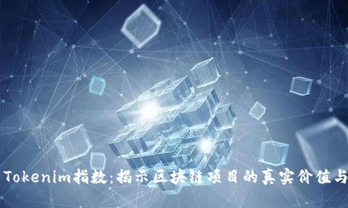 深入解析Tokenim指数:揭示区块链项目的真实价值与投资潜力