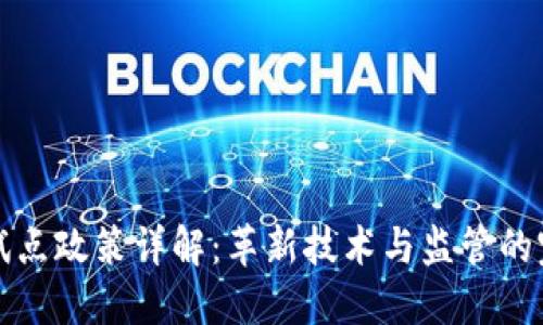 区块链试点政策详解:革新技术与监管的完美结合
