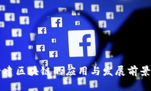 杜子建区块链的应用与发展前景分析