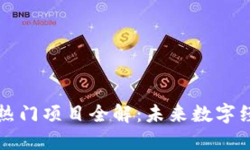 区块链全球热门项目全解:未来数字经济的引领者