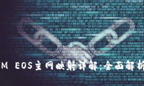 TokenIM EOS主网映射详解:全面解析与指南