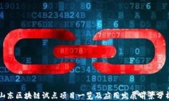 山东区块链试点项目一览