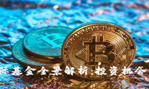 区块链国际基金全景解析:投资机会与风险分析
