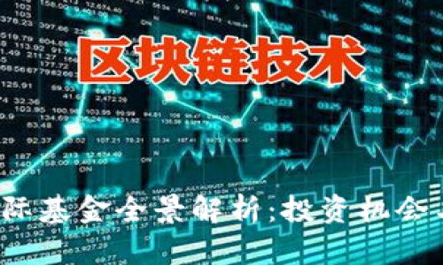 区块链国际基金全景解析:投资机会与风险分析
