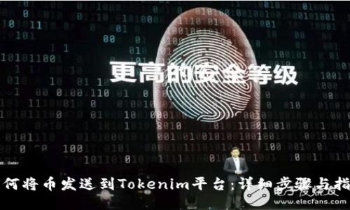 如何将币发送到Tokenim平台：详细步骤与指南
