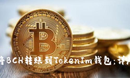 如何将BCH转账到TokenIm钱包：详尽指南