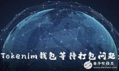 如何解决Tokenim钱包等待打