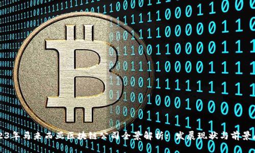 2023年马来西亚区块链公司全景解析: 发展现状与前景展望