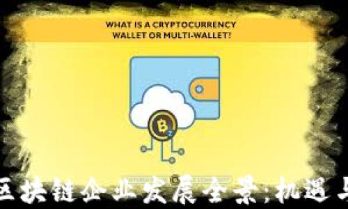 
娄底区块链企业发展全景：机遇与挑战