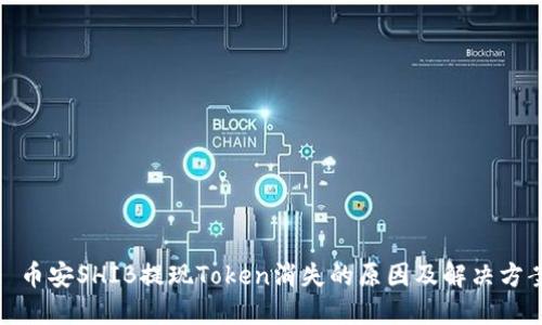 : 币安SHIB提现Token消失的原因及解决方案