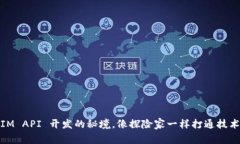 riaoti探索 TokenIM API 开发的